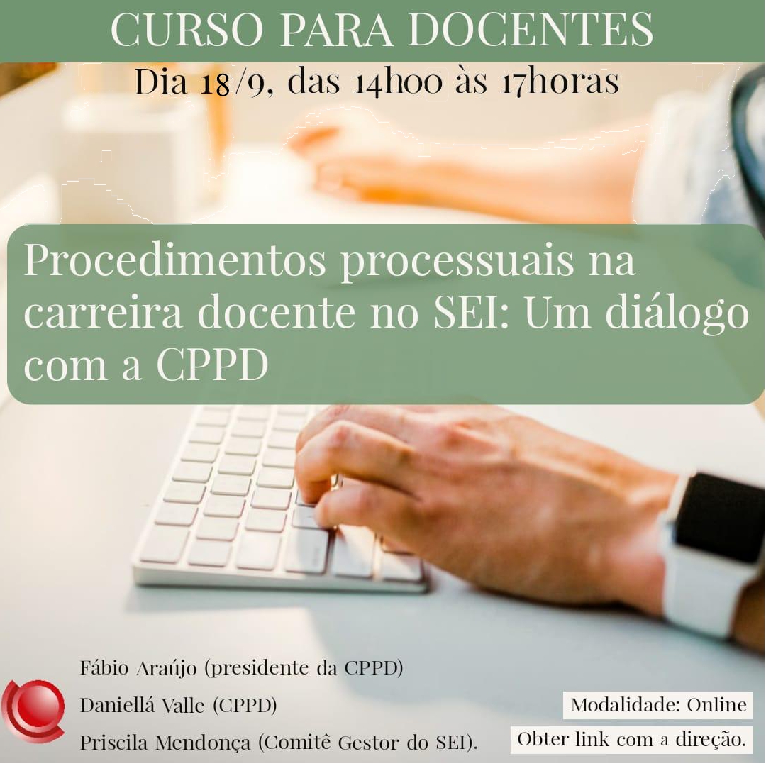 curso SEI docentes IFCS.jpg